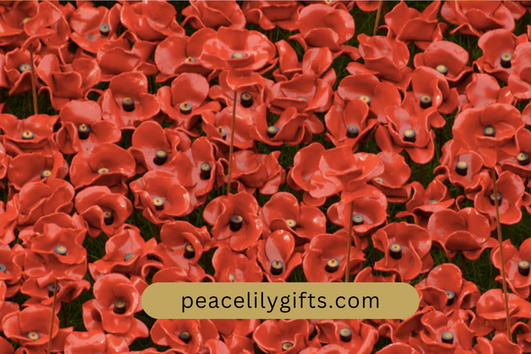 Armistice and Remembrance