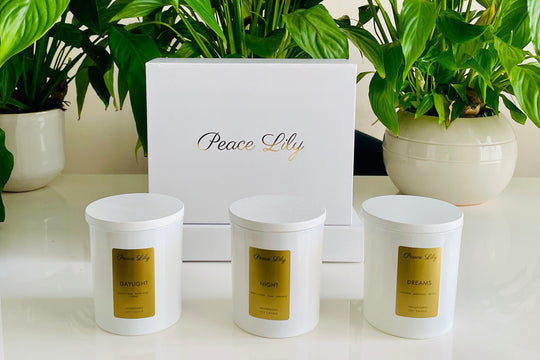 Sunshine Scented Candle-Peace Lily Gifts