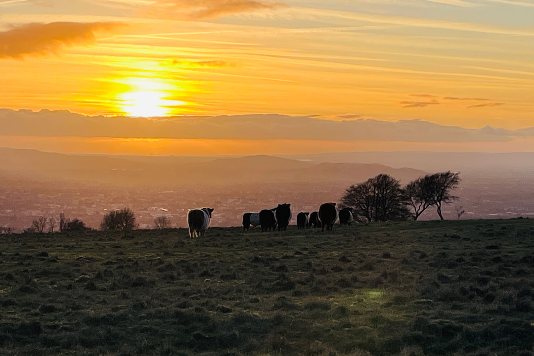 Embracing the Journey