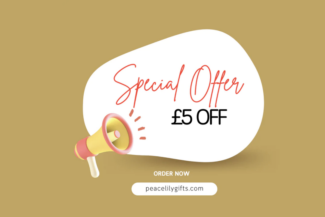 Newest Offer