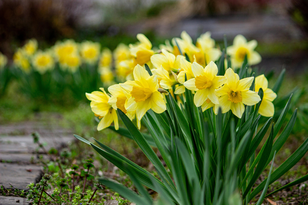 Celebrating Women and Welcoming Spring: Our March Update