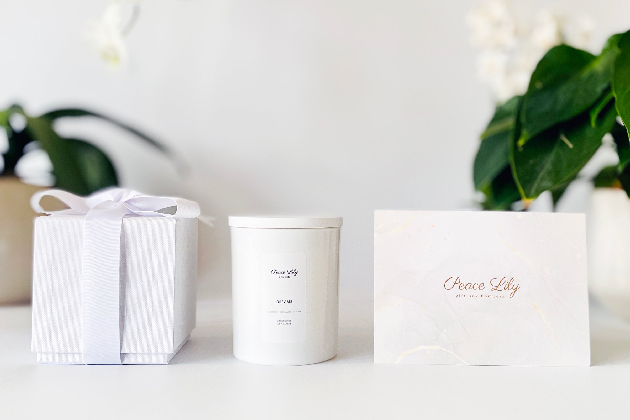 Luxury scented candle gift set with glass candle holder, luxury white box and ribbon and postcard for personalised message. Peace Lily plant in background.