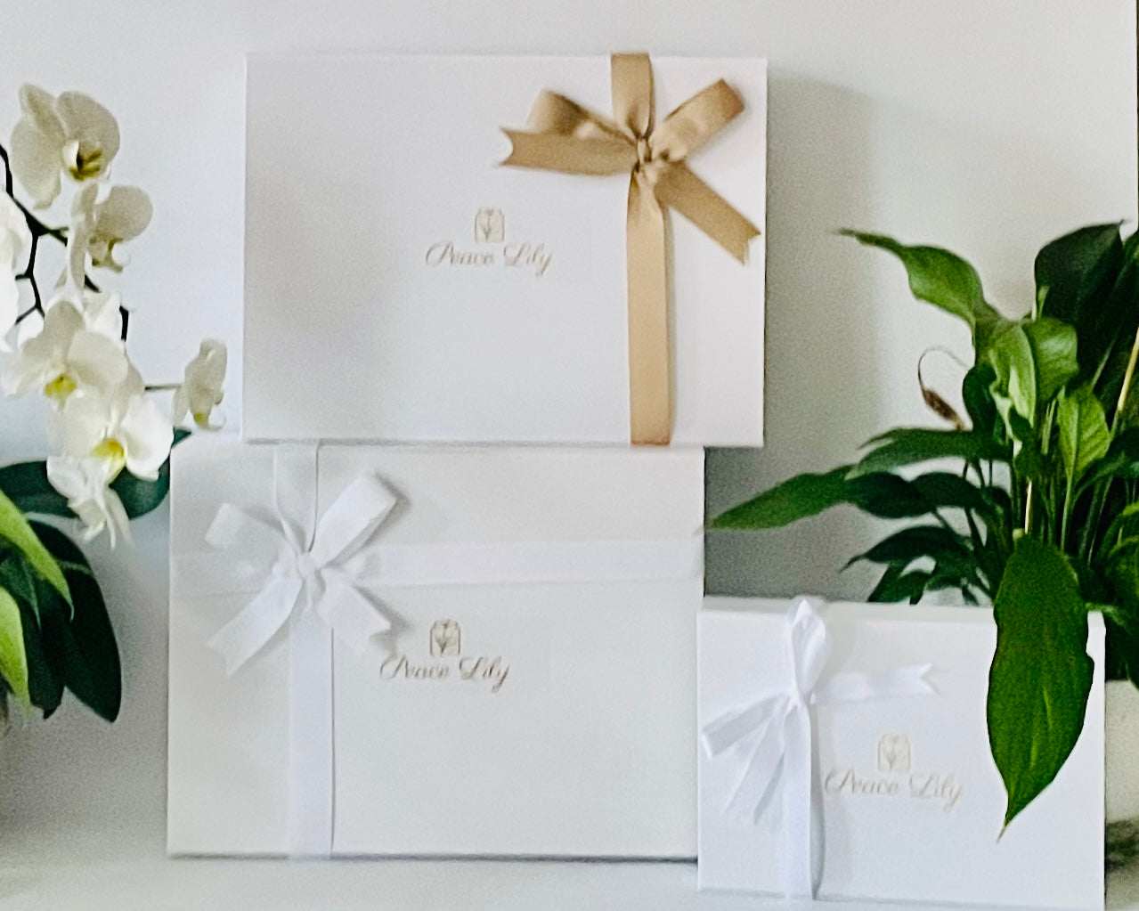 Shop All Gift Hamper Boxes-Peace Lily Gifts