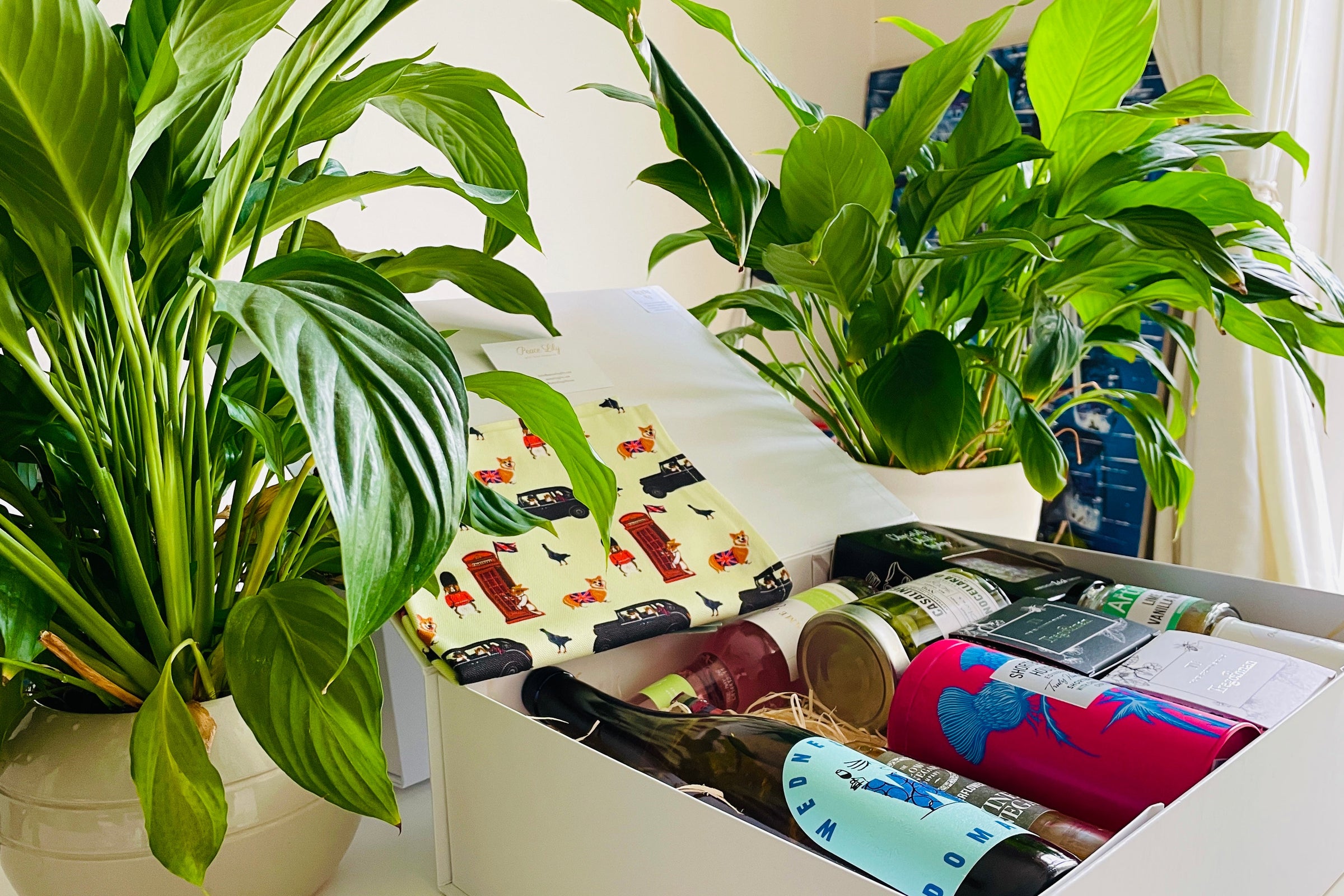 Hampers For Her-Peace Lily Gifts