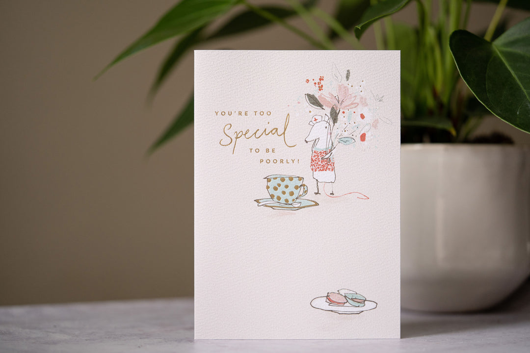 Free Message Greeting Card - Peace Lily Gift Boxes